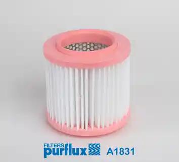 Nakupujte Hned Vzduchový filtr PURFLUX A1831