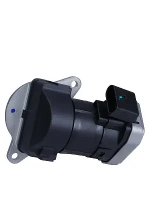 AGR-Ventil MAXGEAR 274056 Must-Have