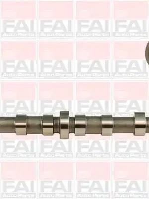 Jen Po Omezenou Doba Vačkový hřídel FAI AutoParts C358