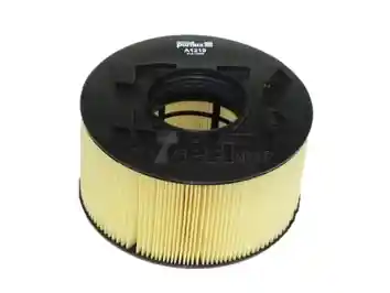 Omezená Nabídka Vzduchový filtr PURFLUX A1219