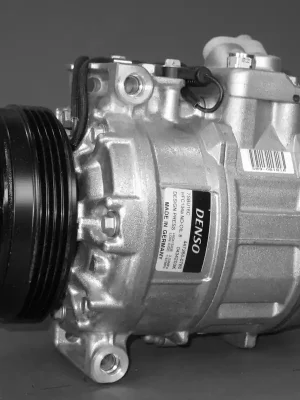 Akce Kompresor, klimatizace DENSO DCP05039