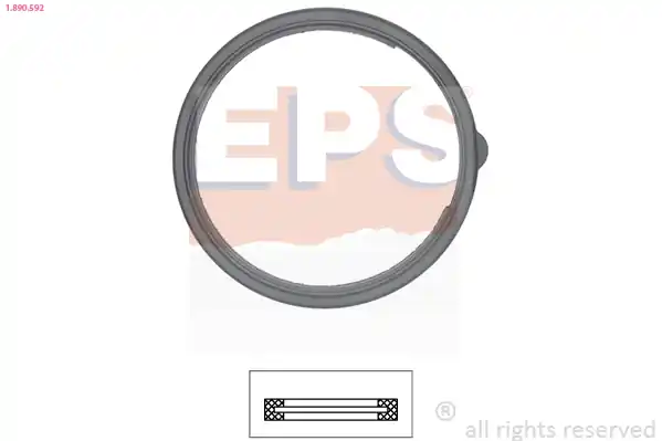 Těsnění, termostat EPS 1.890.592 Top Prodej