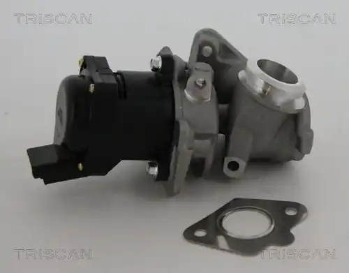 AGR-Ventil TRISCAN 881310010 Vrácení Zdarma