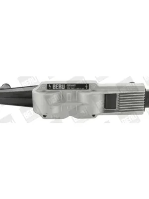 Odeslání Ihned Zapalovací cívka BorgWarner (BERU) ZSE040