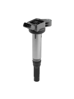 Zapalovací cívka BorgWarner (BERU) ZSE305 Autentický